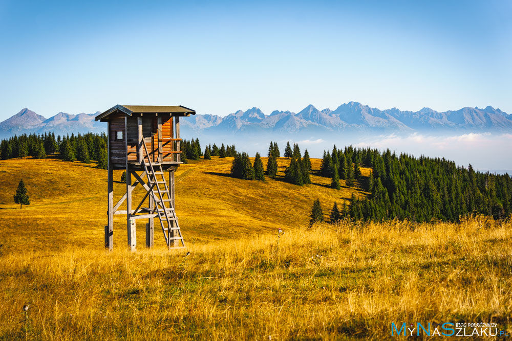 tatry niżne