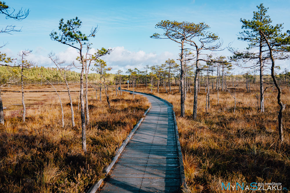 Park Narodowy Soomaa