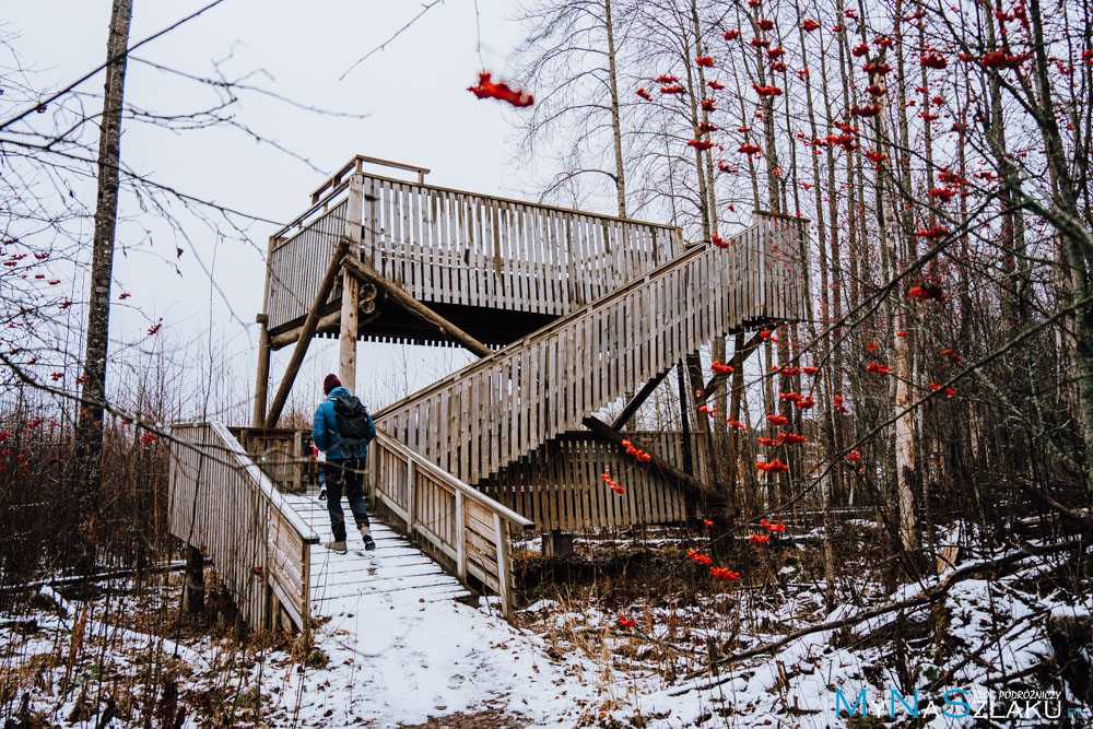 Rezerwat przyrody Siikalahti