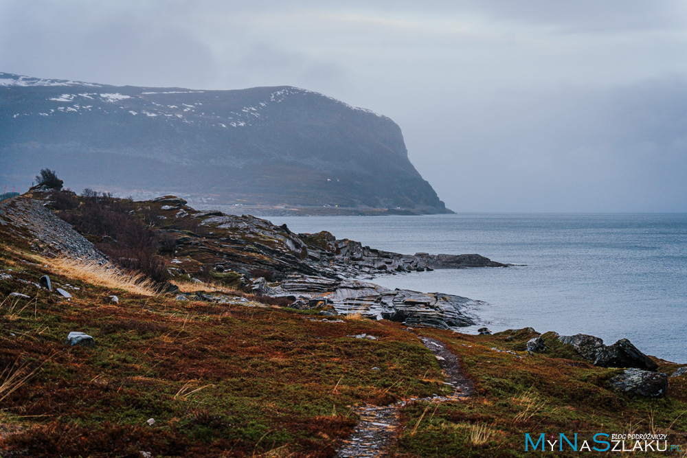 Dzień 8 - Norwegia: Nordkapp (Przylądek Północny)